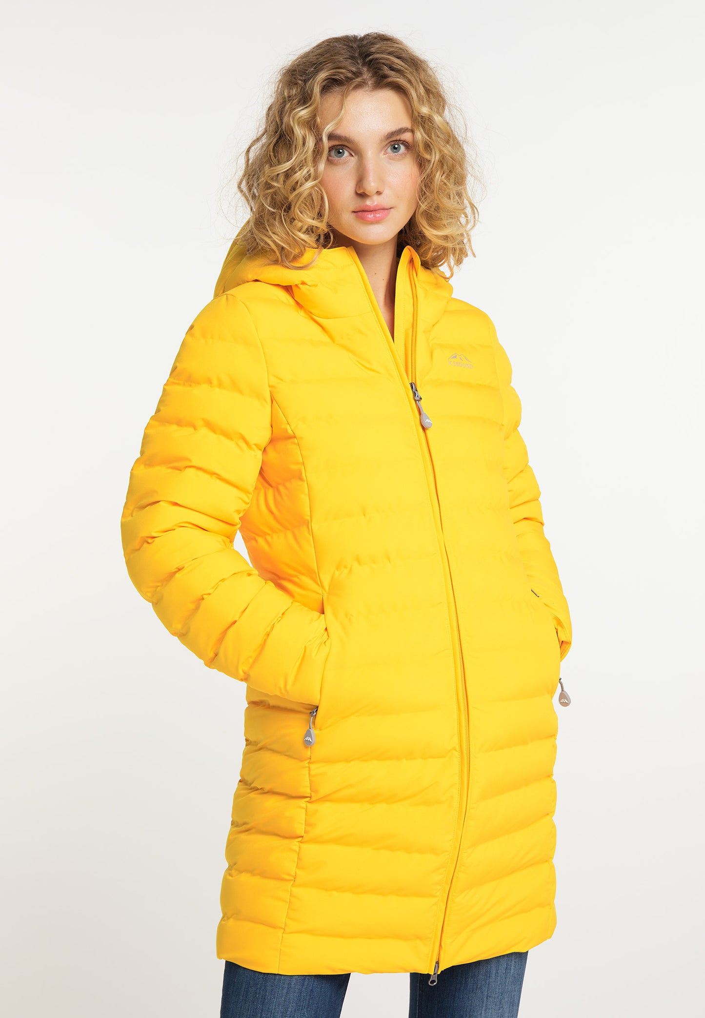 ICEBOUND Women's Transitional Jacket