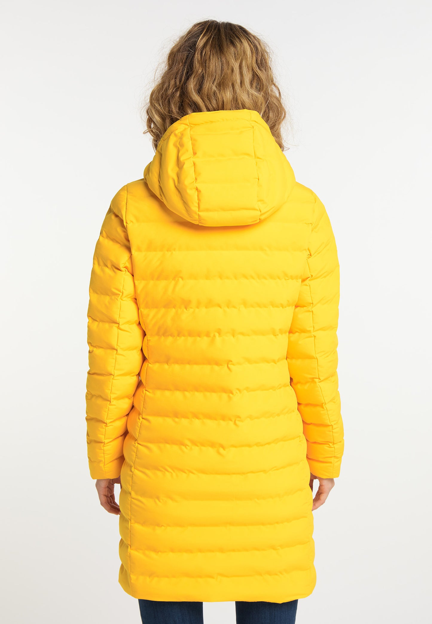 ICEBOUND Women's Transitional Jacket